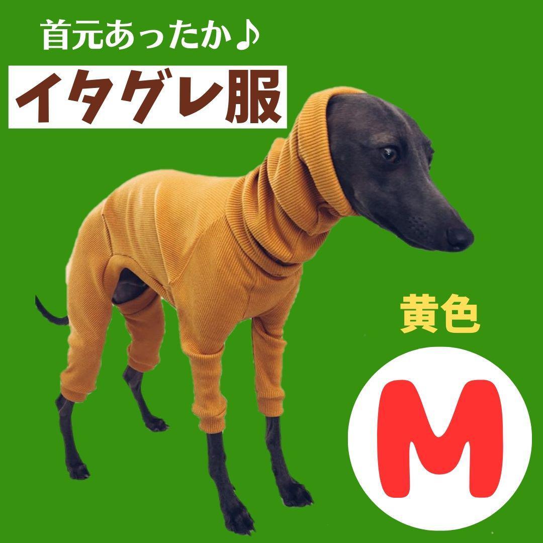 2023年最新】Yahoo!オークション -イタグレ 服の中古品・新品・未使用