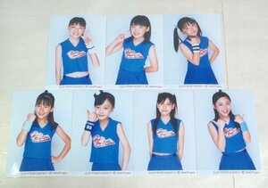 ★【℃-ute ハロー!プロジェクト 2004 Summer 夏のドーン 生写真 L判 7種セット】ハロプロ キッズ 鈴木愛理 矢島舞美 中島早貴 岡井千聖 ①