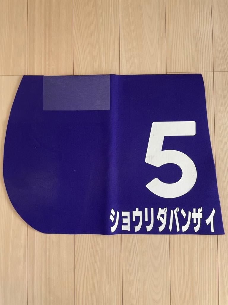 2025年最新】Yahoo!オークション -競馬実使用ゼッケンの中古品 2025年最新】Yahoo!オークション -競馬実使用ゼッケンの中古品