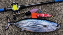 自作コマセカゴ2型ケイムラ6号・紫外線発光で魚の視覚にアピール！昼間の釣りに・・・特に青物に効果アリ！_画像4