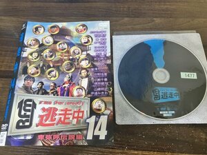 逃走中14　run for money　卑弥呼伝説編　DVD　即決　送料200円　1027