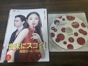 地味にスゴイ! 校閲ガール　河野悦子 　１　DVD　石原さとみ　本田翼　即決　送料200円