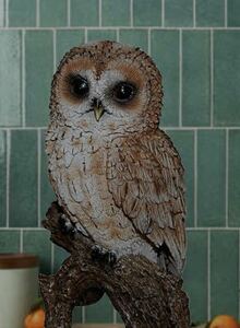 Art hand Auction Realistic Owl Object Owl, Handmade items, interior, miscellaneous goods, ornament, object