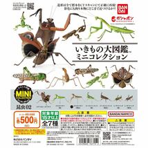 いきもの大図鑑ミニコレクション　トノサマバッタ　褐色　　昆虫02 アドバンス_画像4