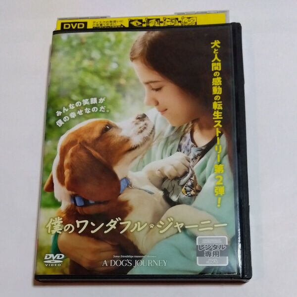 僕のワンダフルジャーニー ゲイル ・マンキューソ監督作品DVD レンタル落ち