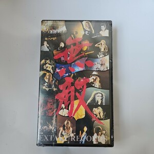 奇跡の未開封品 無敵と書いてEXTASYと読む！！ X JAPAN LUNA SEA 東京ヤンキース ヴィジュアル系 VHS ビデオ