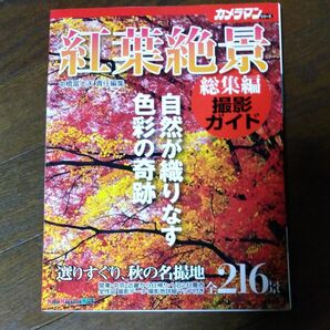  紅葉絶景　総集編　撮影ガイド （カメラマンシリーズ） 中橋　富士夫