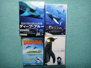 DVD deep blue DEEP BLUE SP edition guidebook attaching 2 sheets set *OCEANS* penguin monogatari *IMAX DOLPHINS Dolphin 