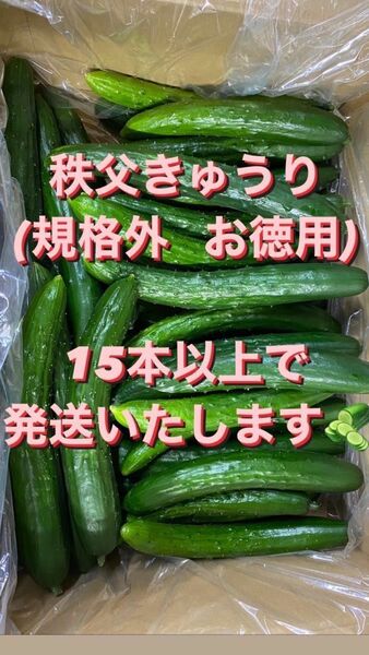 秩父きゅうり15本以上で発送いたします。