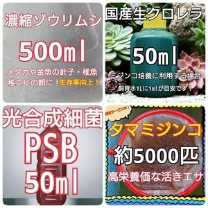 【送料無料】濃縮ゾウリムシ500ml　タマミジンコ約5000匹　自家培養されたPSB　50ml　国内産生クロレラV12　50ml【トクトク培養セット】