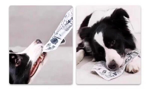 ペットのおもちゃ 音がする布 犬 猫 鳥
