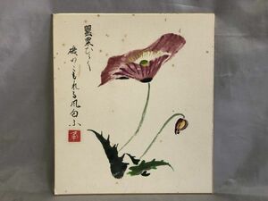 【色紙/色紙画】　肉筆　峰石：印　ケシの花図『罌粟ひらく 磯のこもれる風匂う』　詩/短歌/俳句/情景画　パケット発送　I0622F12