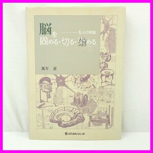 ★未使用 脳を固める・切る・染める 先人の智恵 萬年甫/メディカルレビュー社/初版/大型本/医学関連&1803000057