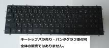 Dell G3 3579 3590 3779 G5 5587 G7 7588 Vostro 3583 3590 5568 7570 7580 7590 7790 Latitude 3590 キーボード キートップバラ売り9_画像1