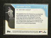 Anthony Volpe 2023 Topps x Julio Rodriguez #F-9 Fountain of Youth インサート ヤンキース RC MLB 美品 100円スタート_画像2