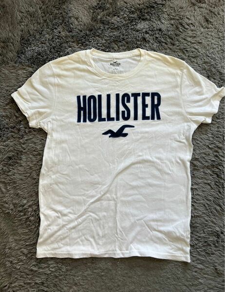 holister ホリスター Tシャツ