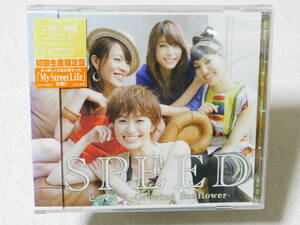 SPEED　ヒマワリ －Ｇｒｏｗｉｎｇ　Ｓｕｎｆｌｏｗｅｒ－　未開封！