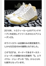 ジョーダンXX 3トロフィールーム世界523足限定_画像6