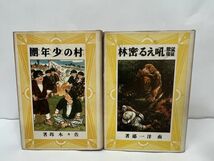 ★愛蔵復刻版少年倶楽部名作全集　8冊/村の少年団/快傑黒頭巾/吠える密林/亜細亜の曙 /浮かぶ飛行島/敵中横断三百里/怪人二十面相/新戦艦高_画像2