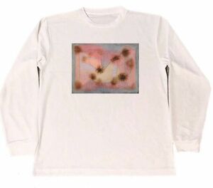 パウル・クレー ドライ　Tシャツ　名画　絵画　アート　グッズ　Hardy Plants　　ロング　ロンT　長袖