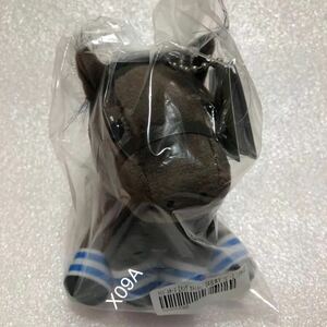  idol hose King turtle is me is Japan Dubey soft toy horse racing JRA horse .