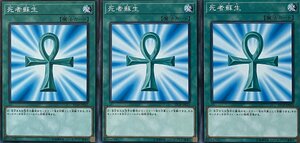 遊戯王 ノーマル 魔法 3枚セット 死者蘇生 ST18