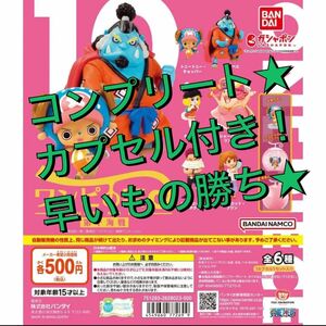 ワンピの実 第十海戦 コンプリート 全6種 未開封