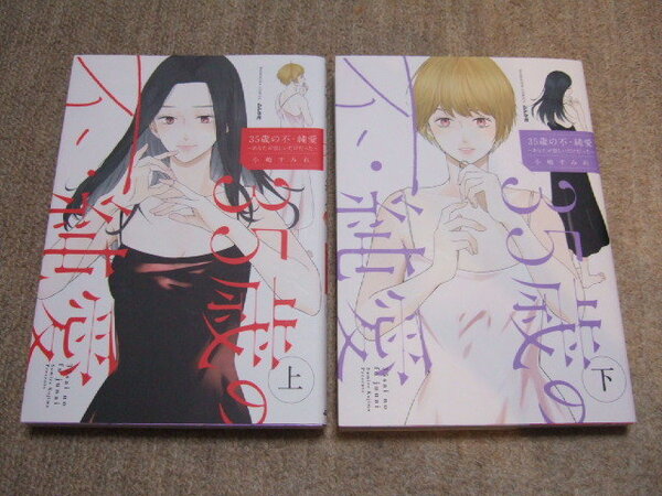 送料込 2冊セット 35歳の不・純愛~あなたが恋しいだけ 小嶋すみれ 上 下