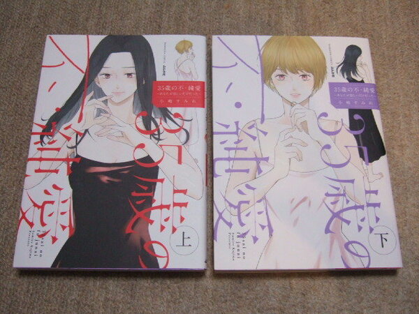 送料込 2冊セット　３５歳の不・純愛～あなたが恋しいだけ　小嶋すみれ　上　下