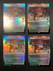 4枚セット　草茂る農地/Overgrown Farmland ボーダレスFoil MTG