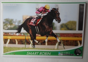  Smart Robin (OWNERS HORSE)