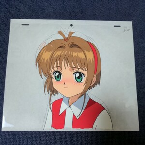  Cardcaptor Sakura cell picture 