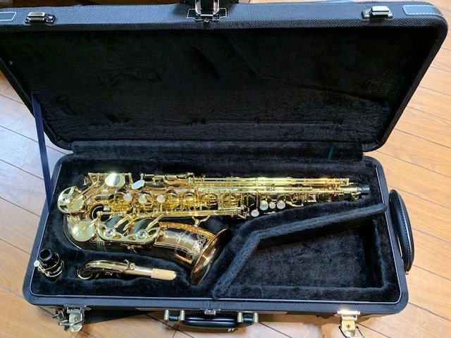 2023年最新】ヤフオク! -(ヤナギサワ yanagisawa)(管楽器)の中古品