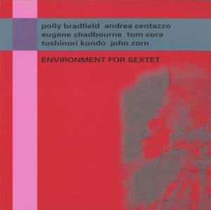 Polly Bradfield, Andrea Centazzo, Eugene Chadbourne, Tom Cora, Toshinori Kondo, John Zorn - Environment For Sextet