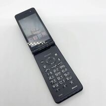 docomo P-01G ドコモ Panasonic ガラケー 携帯電話 d6i76cy_画像1