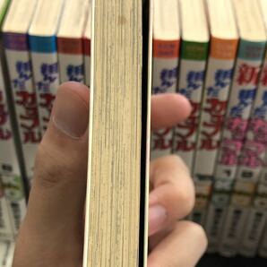 【送料無料】翔んだカップル全15巻＋新翔んだカップル全4巻 柳沢きみお m231012の画像5