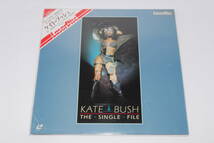 LD　ケイト・ブッシュ　「ビデオ・コレクション」　KATE BUSH　10枚まで同梱可能_画像1