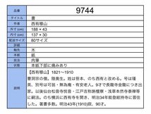 【模写】吉】9744 西有穆山 書 曹洞宗 總持寺独住3世貫首 総持寺 仏教 掛軸 掛け軸 骨董品_画像10