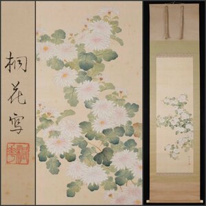 【模写】吉】9742 桐花 菊図 作者不明 茶掛け 茶道具 中国画 掛軸 掛け軸 骨董品