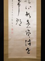 【模写】吉】9755 富田教純 絖本 書 富田学純 真言宗 豊山大学長 仏教 長野県の人 掛軸 掛け軸 骨董品_画像5