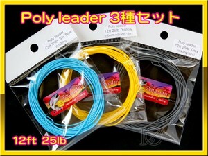 【イオ】ポリリーダー 12ft 25lb 3種セット Poly leader ★★