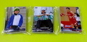 【BBM スポーツトレーディングカード INFINITY 2023】94種 レギュラーカードコンプ トレーディングカード
