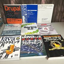 ●関連本 26冊セット●Java/Webデザイン/インターネット プログラミング/データベース入門/CSS/ブログ/テクニック/開発/まとめて★A2951-15_画像6