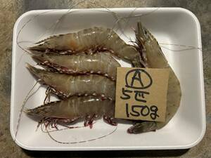 [ Wakayama production ] natural pair red sea .(5 pcs .150g) freezing A