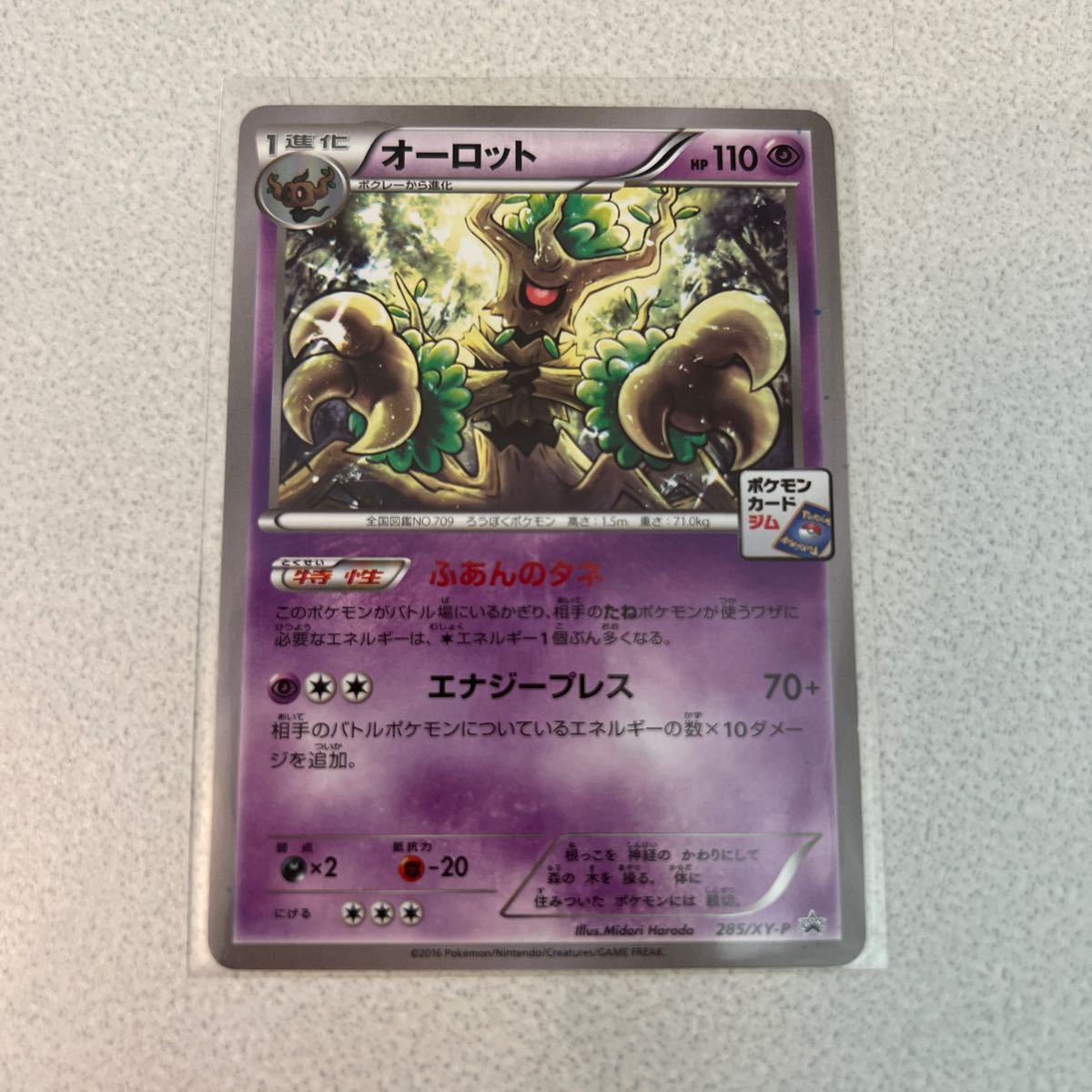 2025年最新】Yahoo!オークション -ポケモンカード xy 2025年最新】Yahoo!オークション -ポケモンカード xy