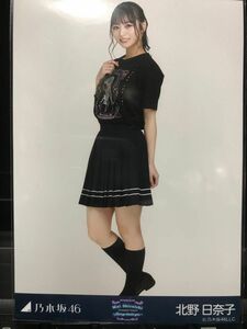 乃木坂46 生写真　北野日奈子　白石麻衣卒業コンサート　ヒキ