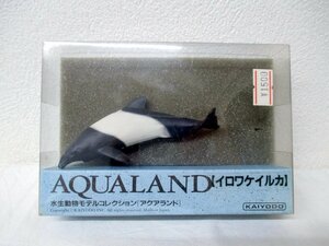 その18 デッドストック 絶版 当時物 海洋堂 イロワケイルカ 松村しのぶ 水生動物モデルコレクション [アクアランド] AQUALAND KAIYODO