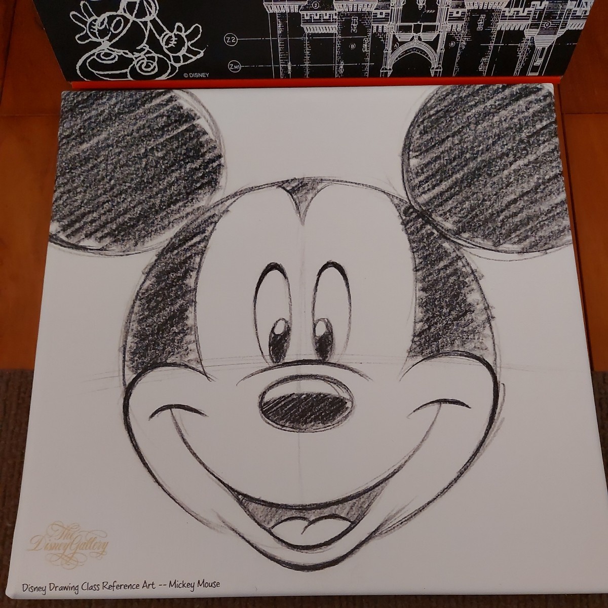 2023年最新】ヤフオク! -ディズニーアート ミッキーの中古品・新品・未