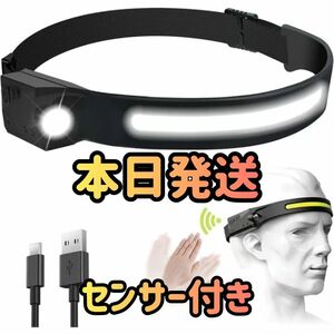 ヘッドライト 人感ライト ヘッド ランプ ライト USB IPX4防水 350ルーメン高輝度 サイズ調節可能 LED アウトドア