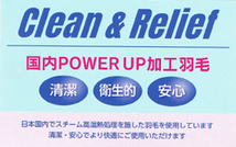 国内において、パワー・クリーンアップ加工